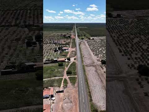 Br 020 Pioix Piauí