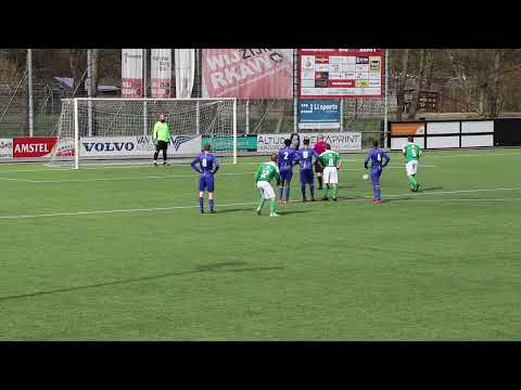 SEV 1 - Haagse Hout 1