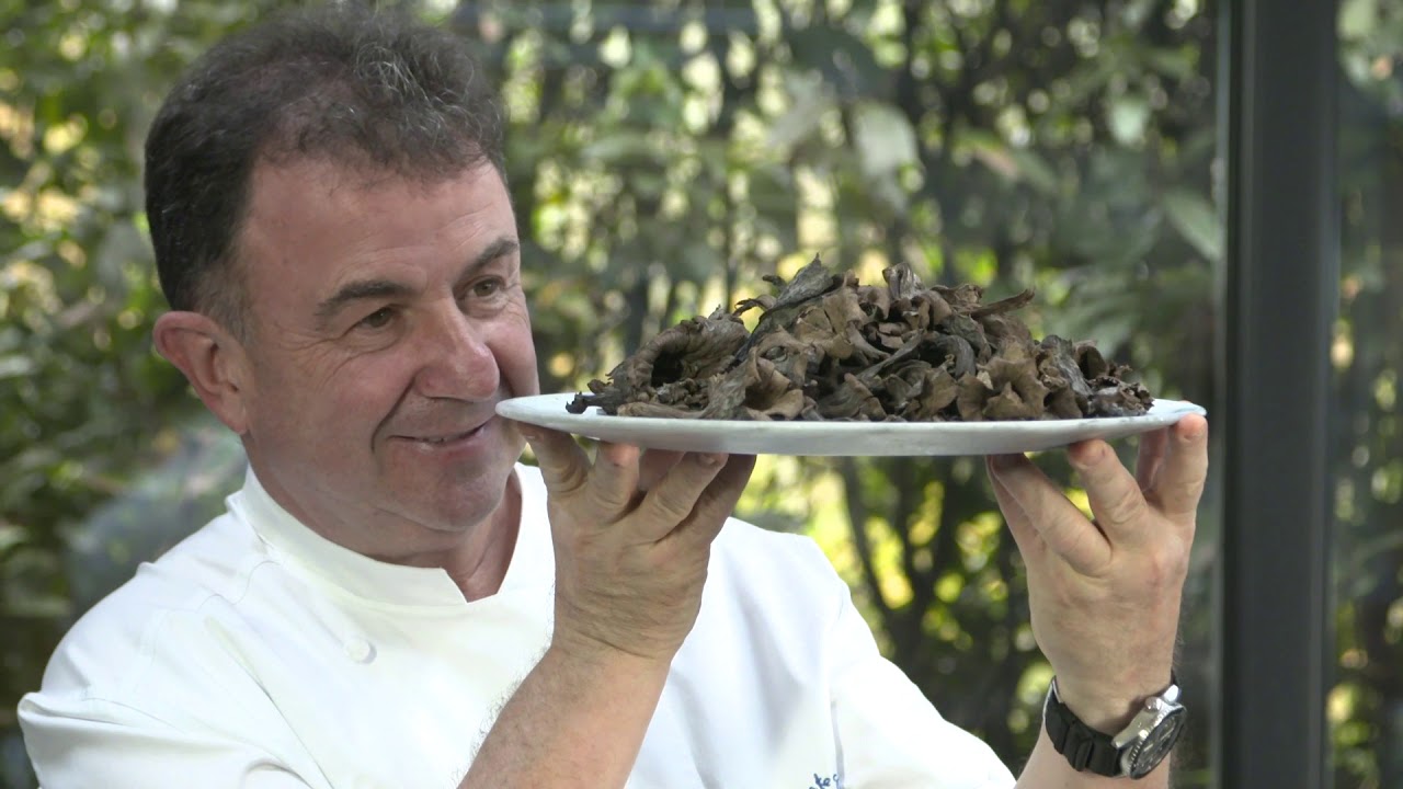 Trompeta Negra - LAUMONT