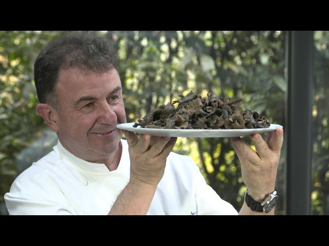 Vídeo relacionado con La Conservera del Prepirineo | Trompeta de los Muertos Deshidratada 90 g | Setas Silvestres Gourmet | Craterellus Cornucopioides | Ideal para Risottos, Guisos, Pasta y Salsas
