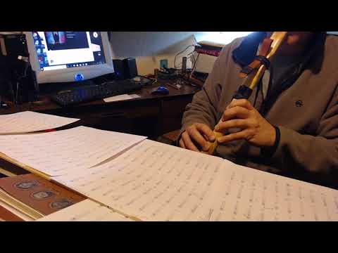 SILENT WOLF Mary Youngblood PLAY ALONG NAF F #