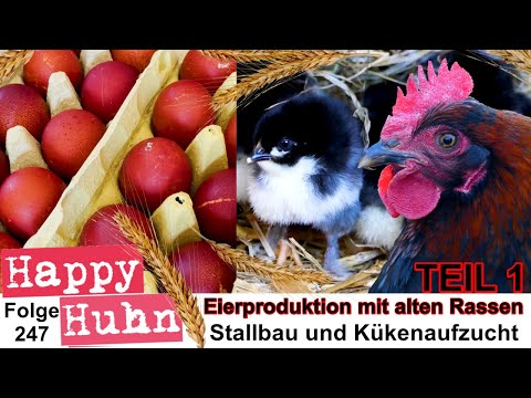 , title : 'Eierproduktion mit alten Hühnerrassen TEIL 1: Stallbau + Küken Brut und Aufzucht - HAPPY HUHN E247'