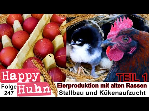 Egg production with ancient chicken breeds (GERMAN LANGUAGE) Marans, Amrock, Leghorn, Heritage breed