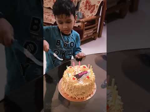 Happy Birthday DiViT 🎈🎈🎉🎉🎈🎈🎂🎂