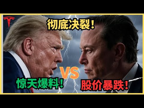 Thumbnail for 分手！伴君如伴虎，鸟尽弓藏兔狗烹，马斯克进退两难，特斯拉冰火两重天