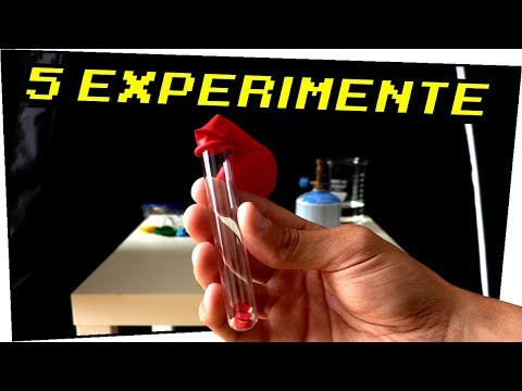 Die 5 besten Experimente für Zuhause! - Experimente zum Nachmachen #113