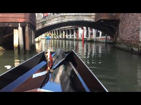 Venice-Ligia 2