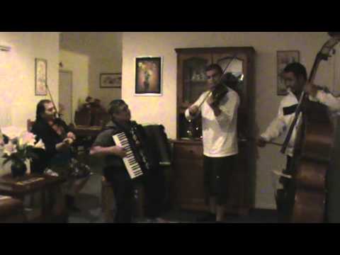 Maestro Vasilini & Gypsy Strings