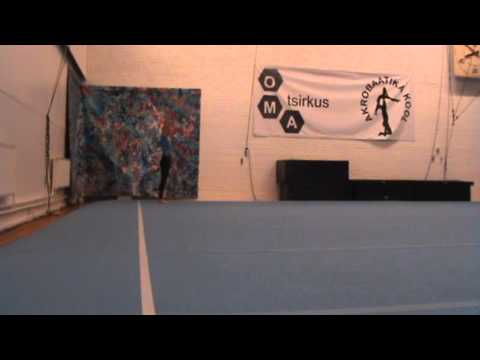 Talveakro 2015 maandumised