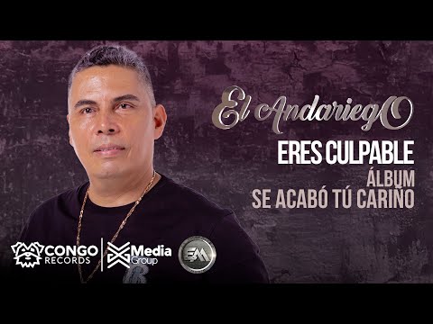 Eres Culpable - El Andariego  (Audio Oficial)
