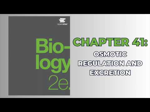 OpenStax Biology 2e (Audiobook) - Chapter 41: Osmotic Regulation and Excretion