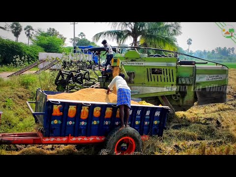 Kartar Track harvester harvesting paddy in village mud land | Come to Village