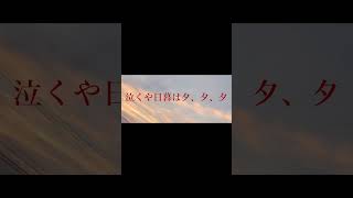 ヨルシカ LIVE TOUR 2025「盗作再演」盗作/創作セトリメドレー Guitar＆Basscover byフクレモ.  #盗作live  #キタニタツヤ【#盗作】【#ヨルシカ】【#盗作再演】