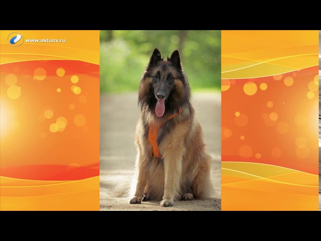 Живая среда