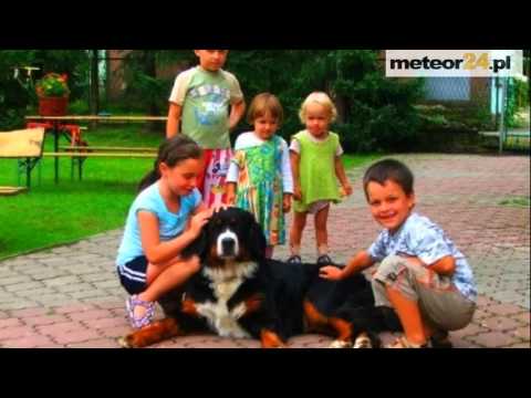 Pokoje Gościnne Fanaberia - Brenna meteor24.pl