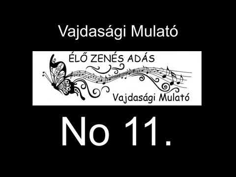 Vajdasági Mulató No11.