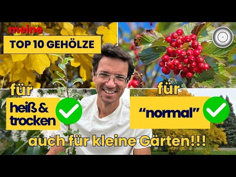 MEINE LIEBLINGSGEHÖLZE für kleine bis mittlere Gärten!
