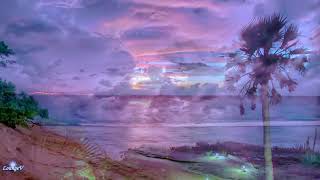 Rip The Night Away - Kottonmouth Kings - 4K Beautiful Backgrounds