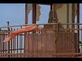 Iyarkkai Feelings Whatsapp Status Iyarkkai Bgm Ringtone Download Love Feeling Whatsapp Status