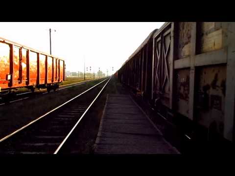 DB Freight Trains in Oradea Vest (Autumn Edition)