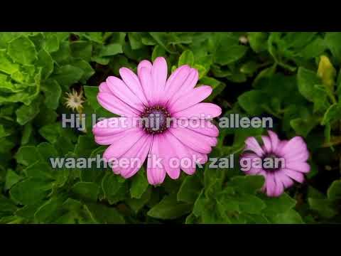 Opwekking 617 Hij kent mijn naam 1B