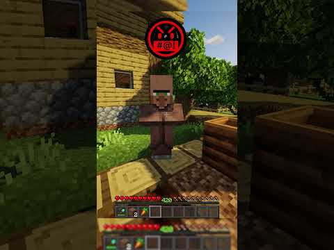 Surprising Villager Encounter in Minecraft