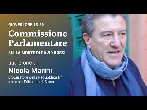 Commissione parlamentare sulla morte di David Rossi: Nicola Marini