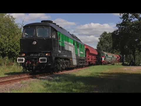 Skinest Rail 232 413 mit Düngemittel auf der OHE