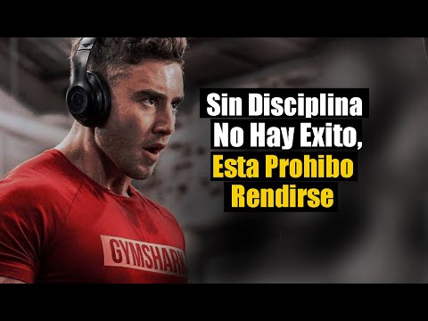 Esto Hará Que Nunca Te Rindas : La disciplina vs la motivación: Esto Va A Transformar Tu Vida