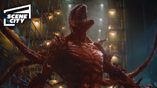 Carnage breaks out of prison