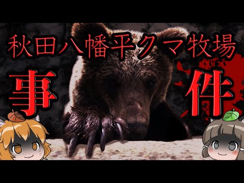 ナポリ県 - ステマ.png
