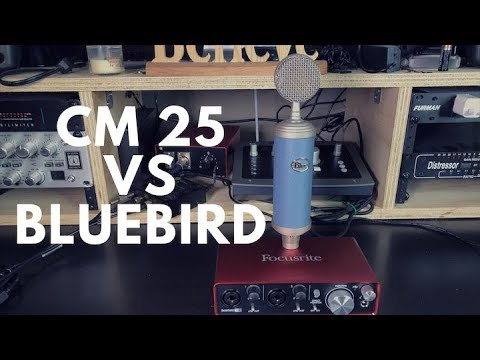 CM25 VS Bluebird microphone. Rap vocal (( Focusrite 2i2 ))