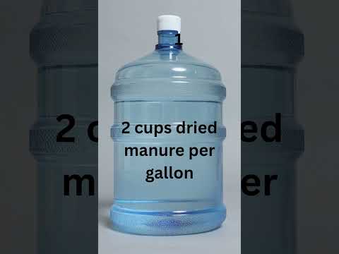The Old-Fashioned Fertilizer That Still Beats Store-Bought