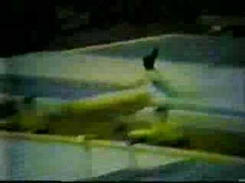 1980 Olympics gymnastics Choe Jong Sil vault