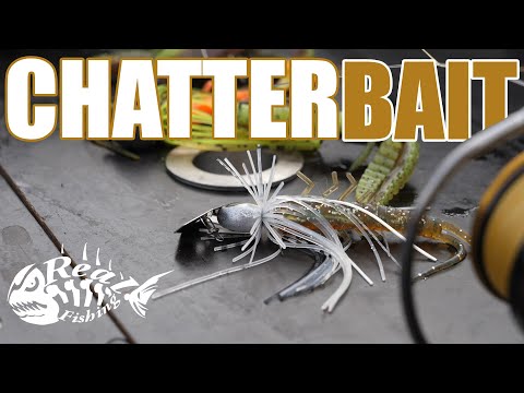 Mit CHATTERBAIT auf BARSCH // Dieser Köder rettet uns den Tag!