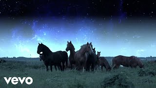 Nolwenn Leroy - Loin (Lyric Video)