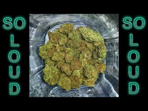 Mafioso - So Loud ft. Bush Boys [Official Audio]