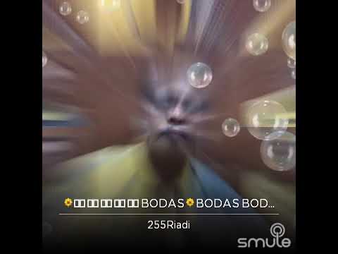 Mawar bodas (Yayan Jatnika)