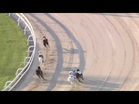 2017 STAR SPORTS DERBY - ROUND 1 HEAT 3 - T5 DANZEY EXCEPTION