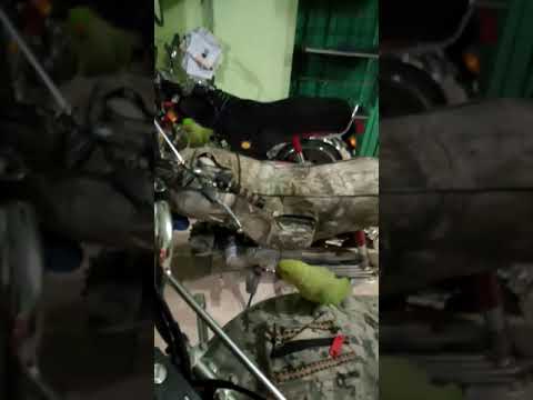 peroots sell num 03063243441