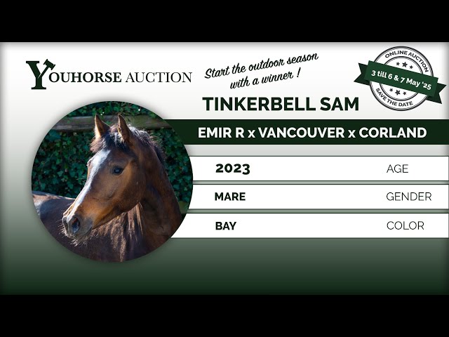 Tinkerbell Sam