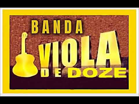 viola de doze