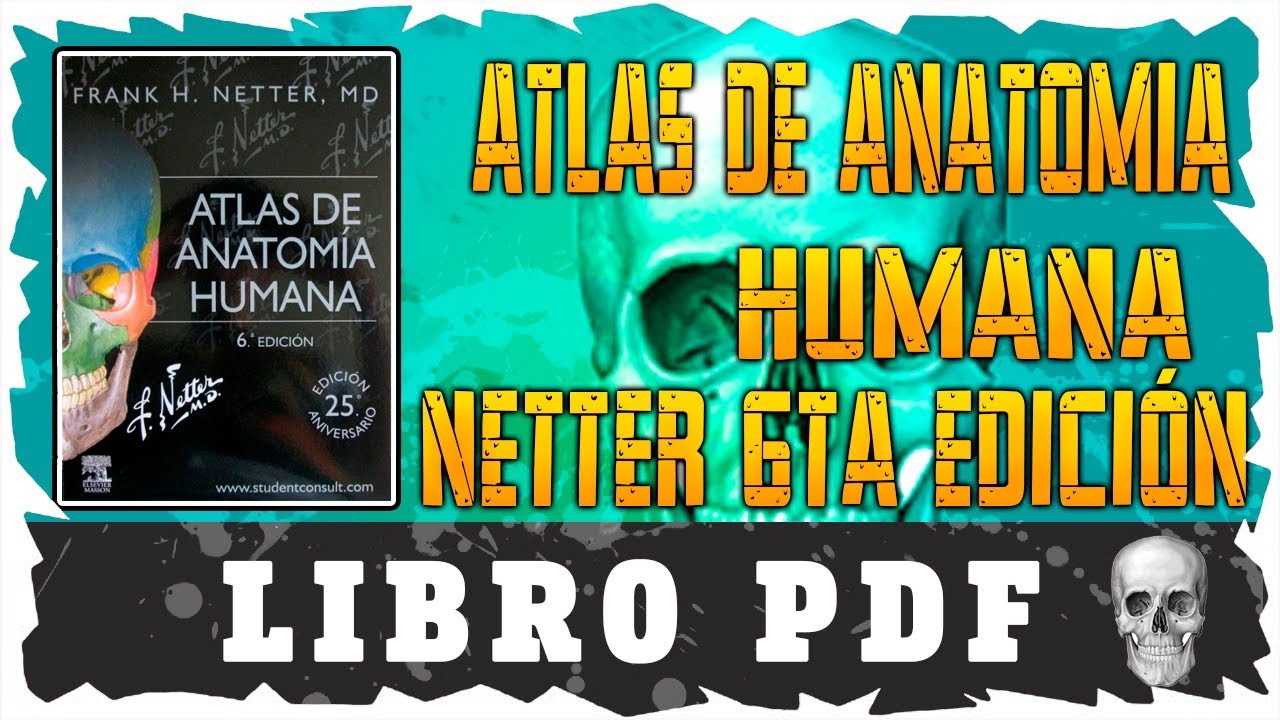 Watch Now Atlas de Anatomía Humana | Libro PDF | Netter | 6ta Edición | 2017 Atlas de Anatomía Humana | Libro PDF | Netter | 6ta Edición | 2017