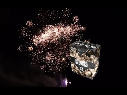 Pyrocentury / AP Feuerwerk - Spinning Blossom (APF 2040/3)