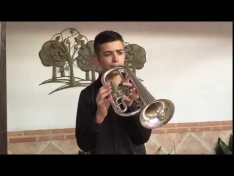 METAL- ESCUELA DE M�SICA 