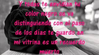 mi rosa negra porta letra