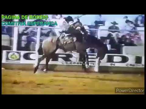 HELIO ANTONIO FILHO V&CAVALO PANTER CIA CIDON (ELO DE AÇO)