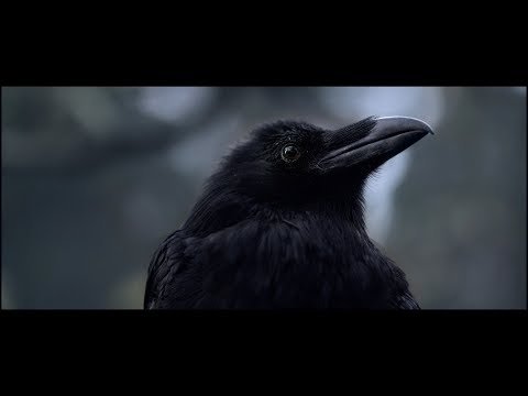 Офіційний тізер