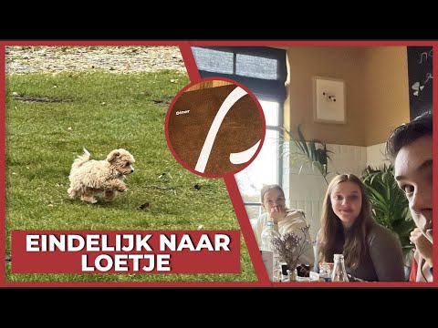 FINALLY EATING AT LOETJE! - #1666