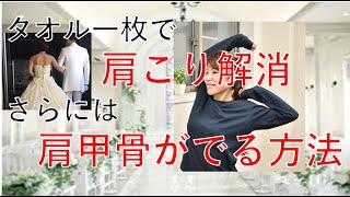 えっ！タオル一枚で肩こり解消&肩甲骨がでる方法